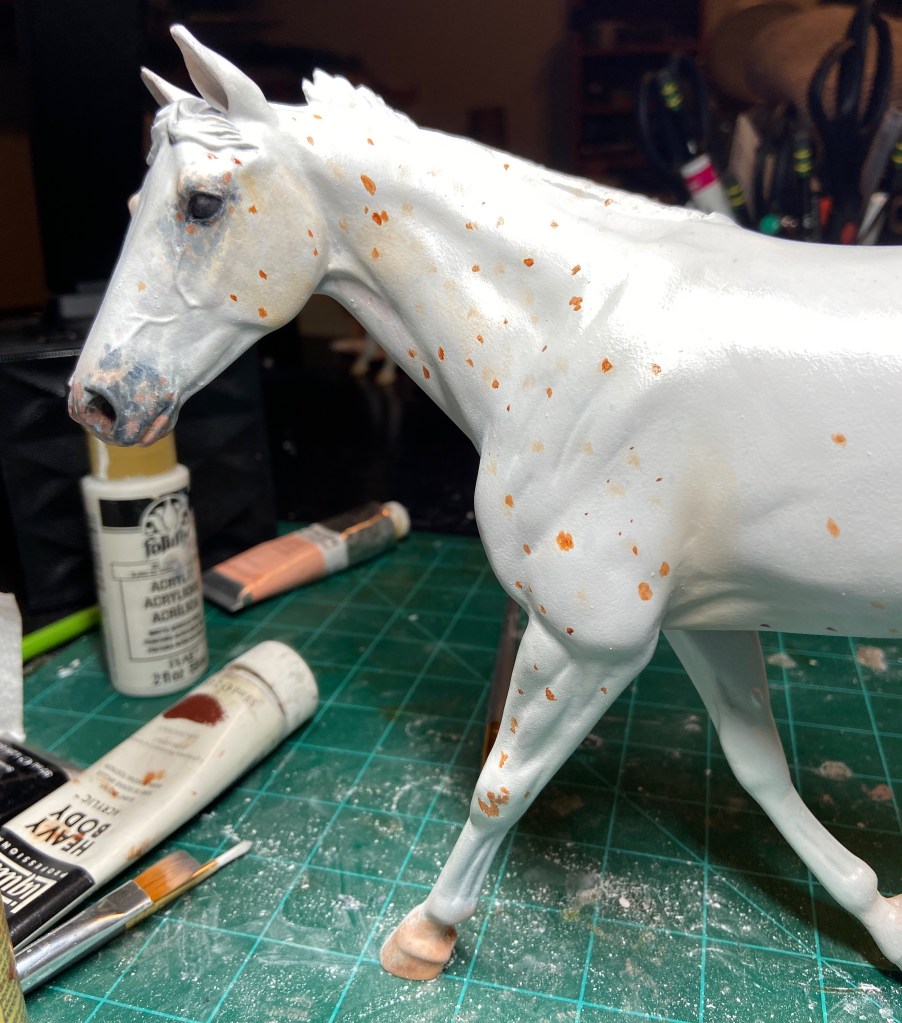 Appaloosa Model  Horse