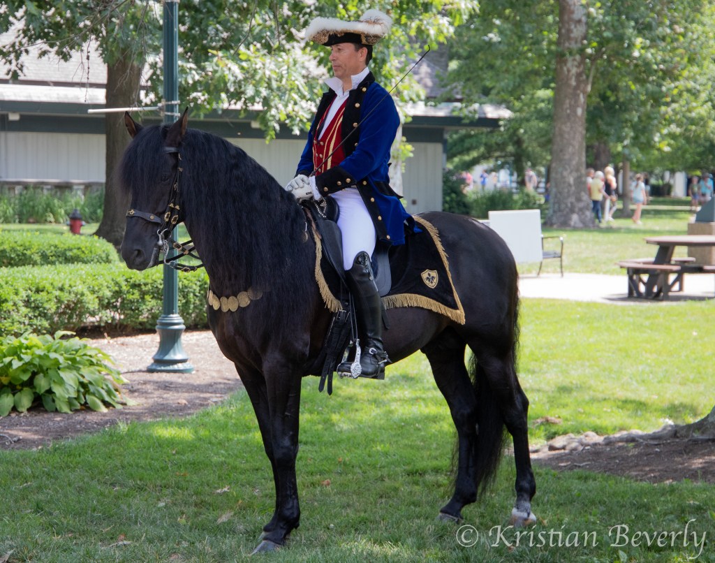 Standing Black Horse