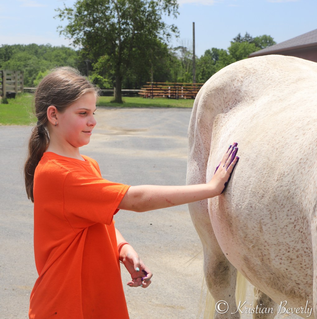 Girl paints real horse