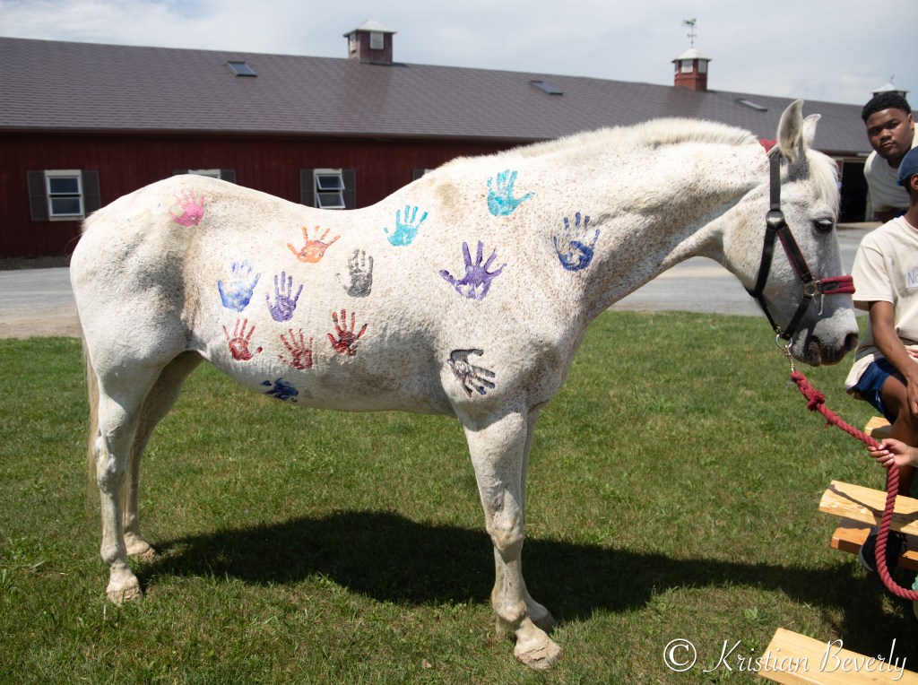 Painted horse