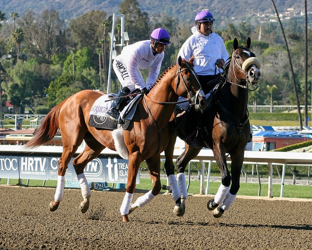 Lava Man ponying I’ll Have Another