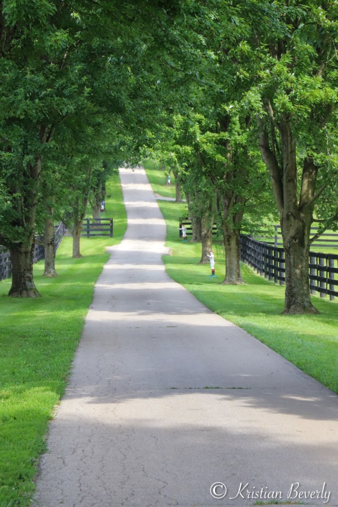 Pathway at Old Friends Farm